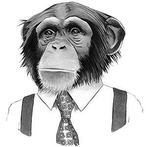 Chimpanzee in shirt and tie